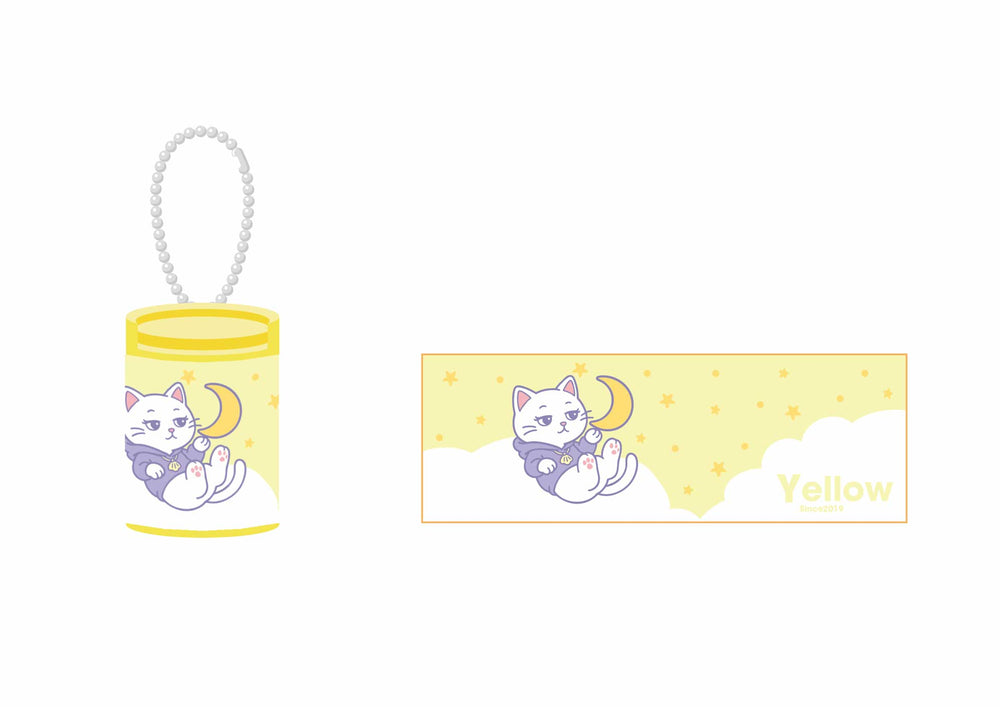 コインシリンダーキーホルダー