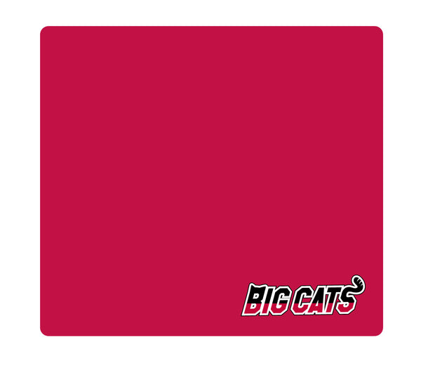 レジャーシート