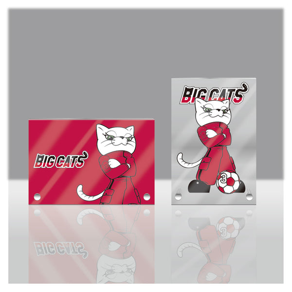 アクリルプレート