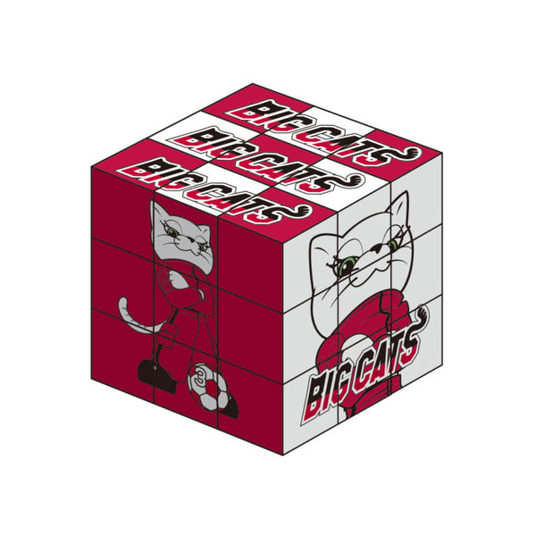 六面立体パズル