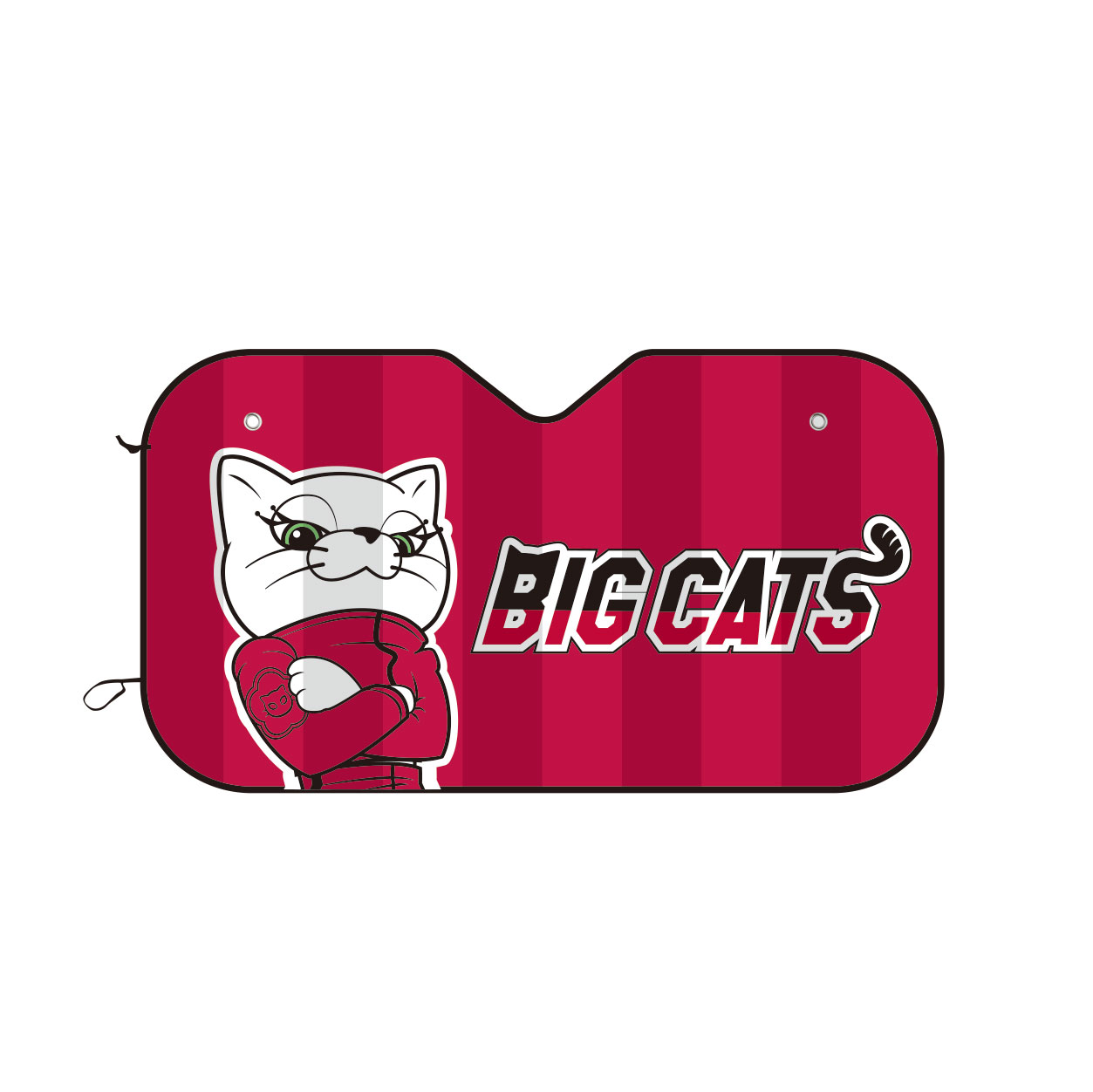 サンシェード(カーシェード)