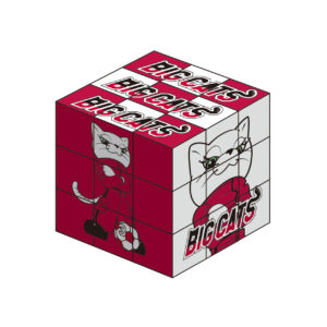 六面立体パズル