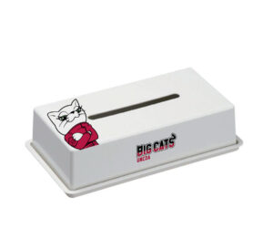 ボックスティッシュ