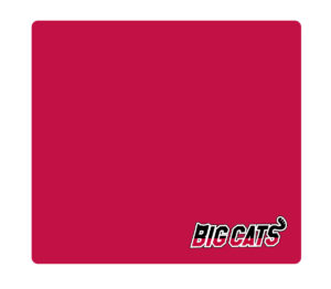 レジャーシート